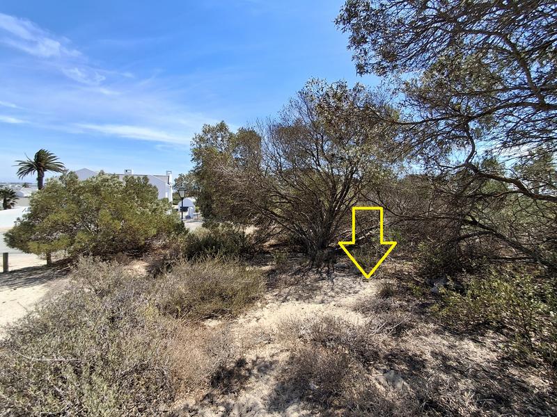 0 Bedroom Property for Sale in Shelley Point Western Cape